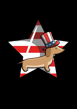 Cool American Dachshund