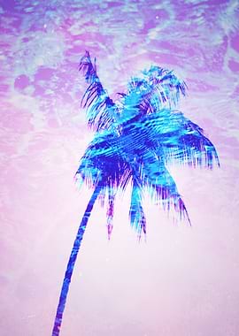 Tropical Palm Tree Heaven