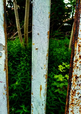 Fence