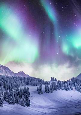 Aurora In The Winter