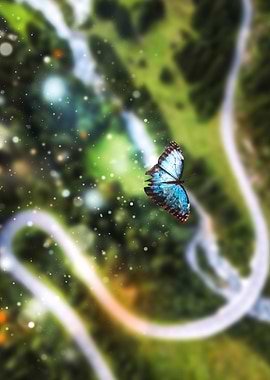 Butterfly