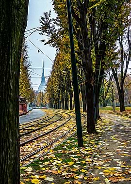 Tramway tracks in Turin