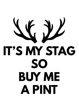 Its My Stag So Buy Me A P