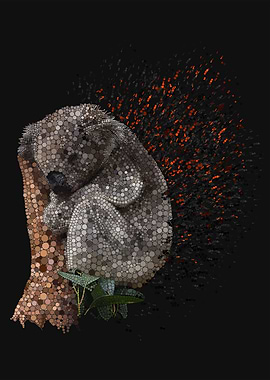 Koala Embers