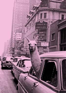 lama in taxi pink variant