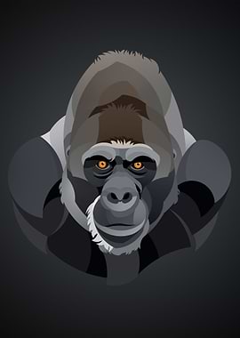 Gorilla Illustration