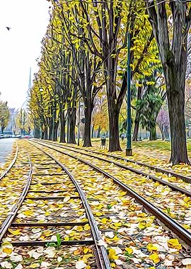 Tramway tracks in Turin