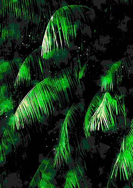 Tropical Palm Forrest