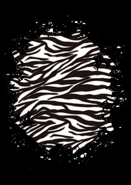 Zebra Skin Zebra fur