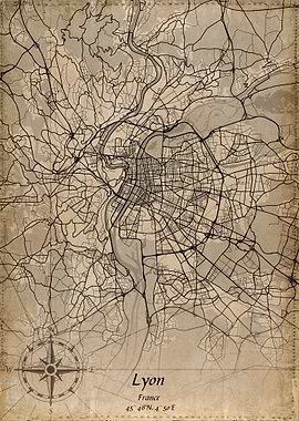 lyon vintage map