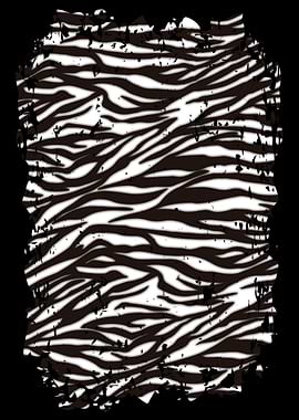 Zebra Skin Zebra fur