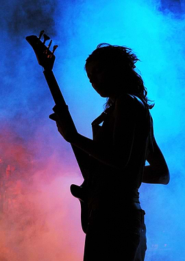 Bass Guitarist