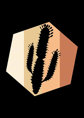 Cactus Desert Cactuses