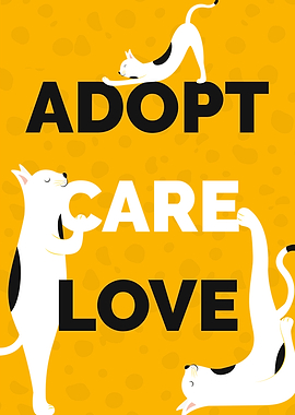 Cat Adopt Care Love