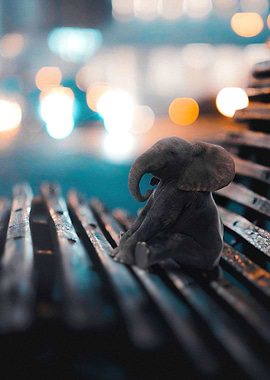 Baby Elephant on Bench