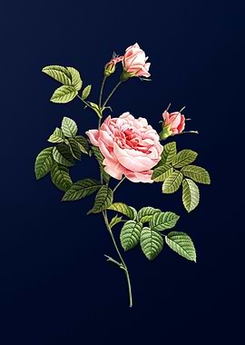 Rose Turbine on Deep Blue