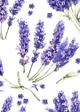 Lavender Pattern 01
