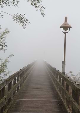 Brcke im Nebel am Rhein