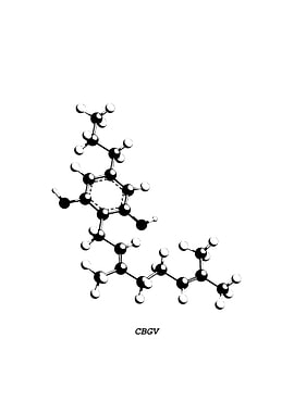 CBGV