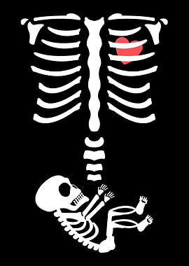 Baby Belly Skeleton