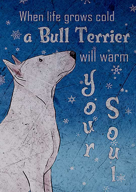 Bull Terrier
