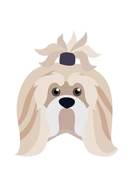 Shih Tzu Dog Face