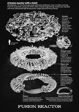 FUSION REACTOR
