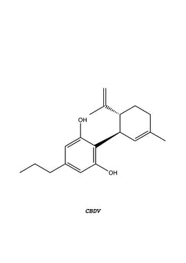 CBDV