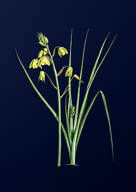 Vintage Floral Deep Blue