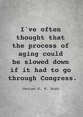 George H W Bush Quote L027