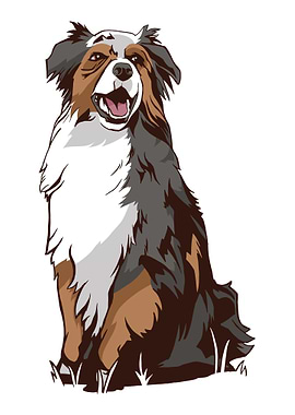 Australia Sheperd Dog