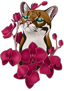 Ocelot and Orchids