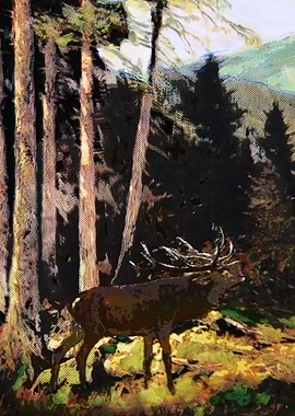 Stag in forrest