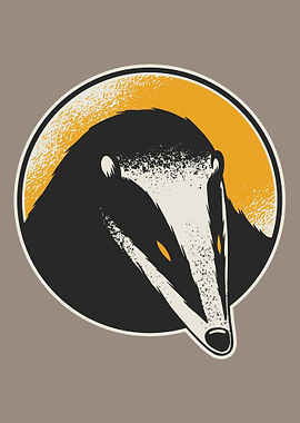 roof design with a sun