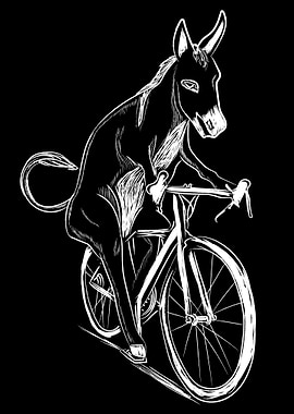 Donkey Bicycle
