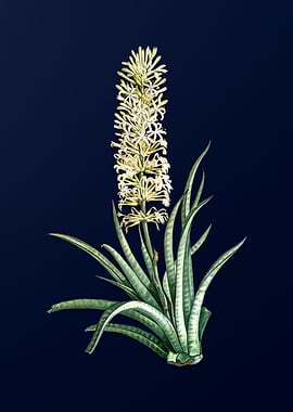 Vintage Floral Deep Blue