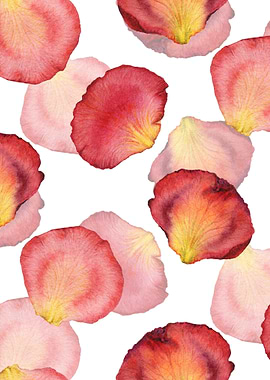 Rose Petal Pattern 06