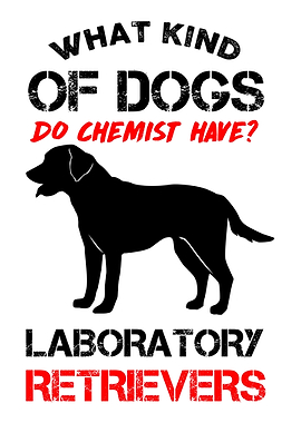 Chemists dog