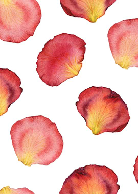 Rose Petal Pattern 05