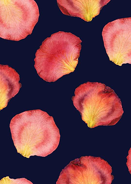 RosePetal Pattern Black 05