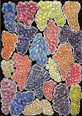 Grapes for wine lovers