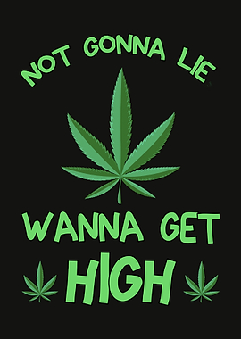 Wanna Get High