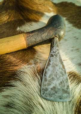 Bushman Axe