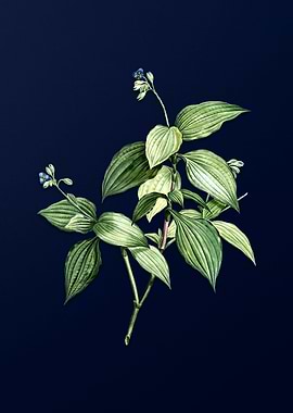 Vintage Flower Deep Blue