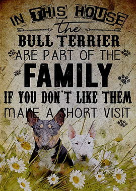 Bull Terrier