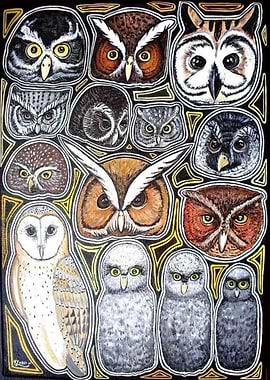 Owls