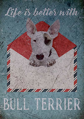 Bull Terrier