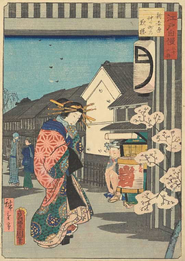 Evening Cherry Blossoms