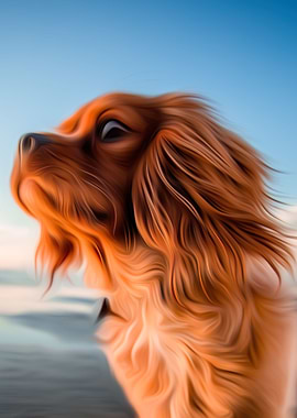 Cute Cocker Spaniel