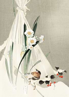 A bird with narcissus